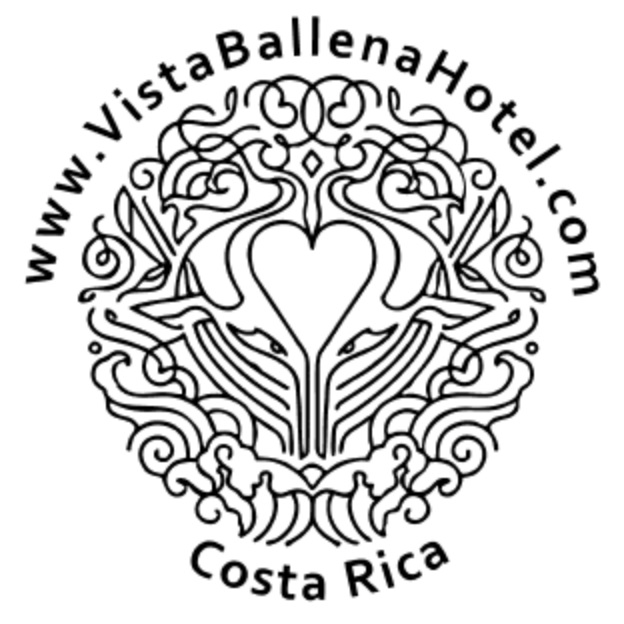 Vista Ballena
